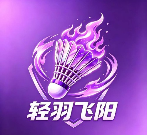 轻羽飞阳【大屯动力厂官方】