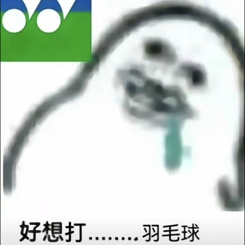 极景羽毛球俱乐部