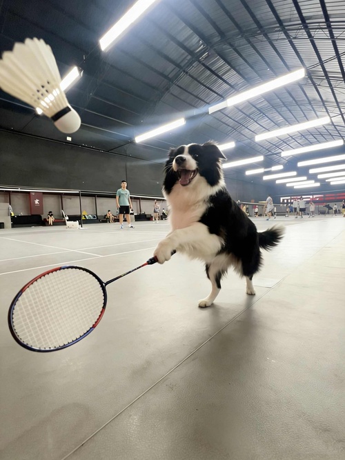 周一下午2-5点、火星空间娱乐+对抗🏸