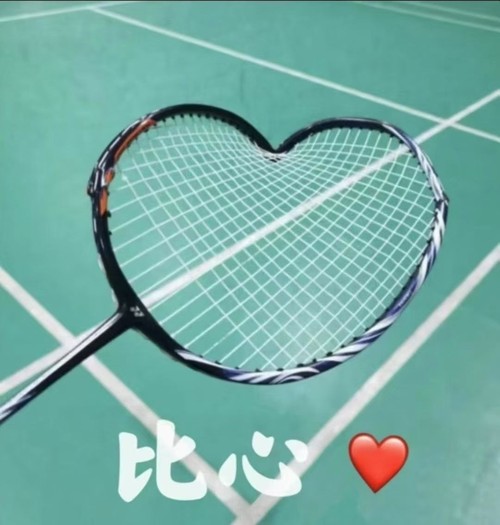 無(wú)羽倫比