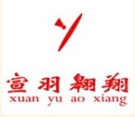 宣羽翱翔羽毛球俱乐部