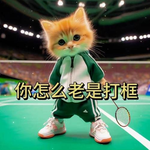 毛毛羽球俱乐部