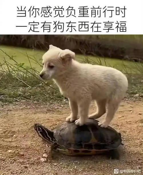 羽见羽毛球俱乐部